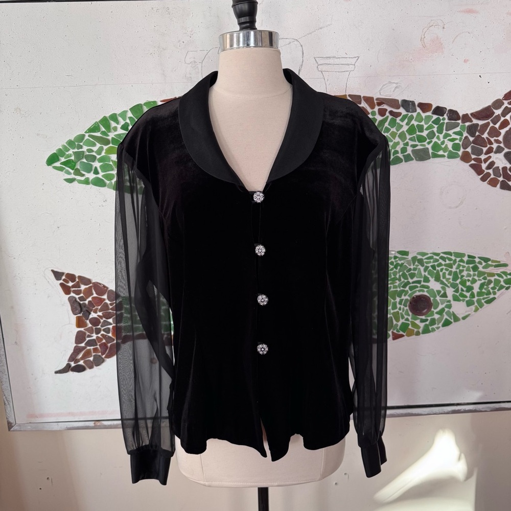 Sheer Sleeve Black Velvet Blouse